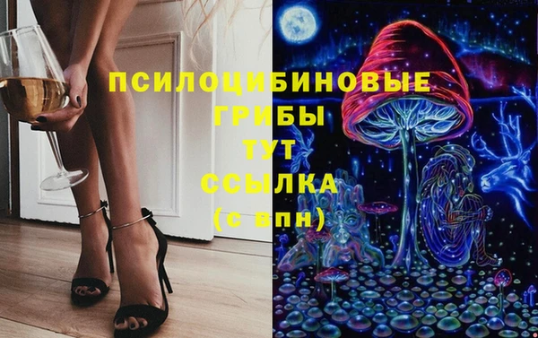 соль ск Абаза